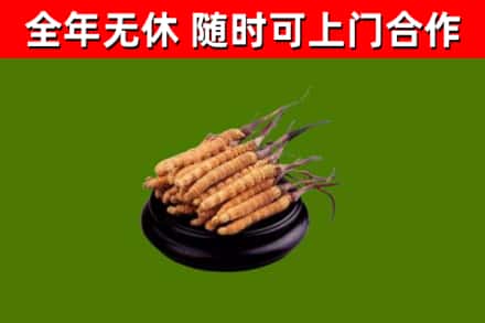 铁西区烟酒回收冬虫夏草.jpg